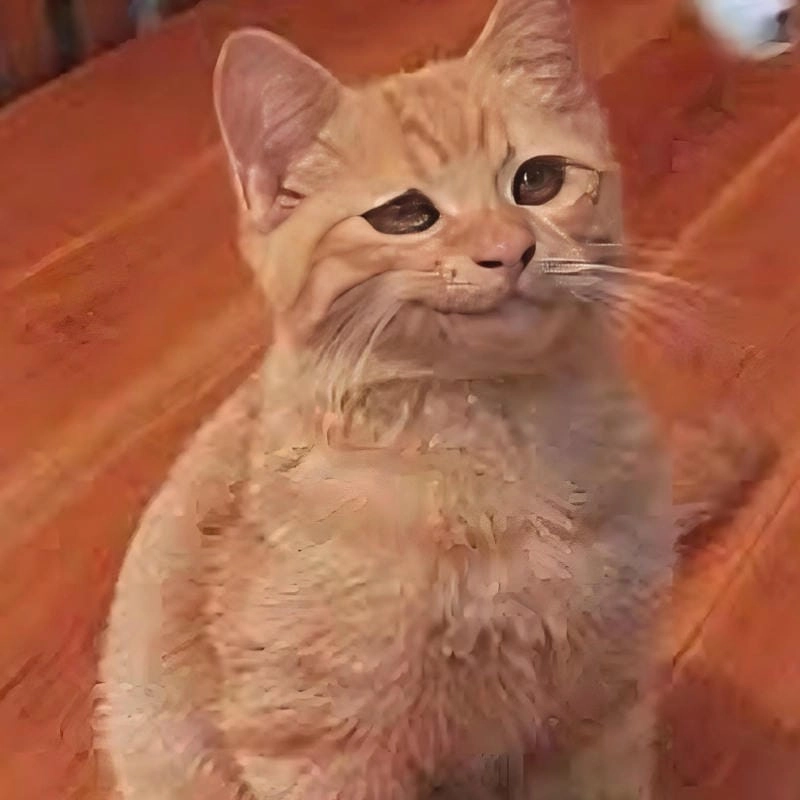 Săn lùng những khoảnh khắc ảnh meme nhếch mép