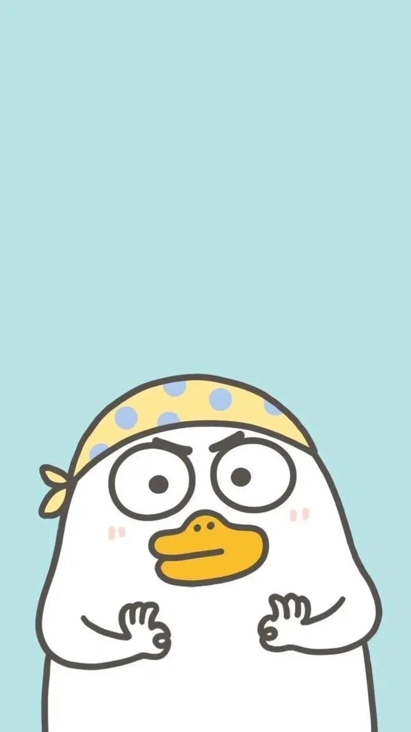 Ngắm nhìn vẻ đẹp meme ok đáng yêu