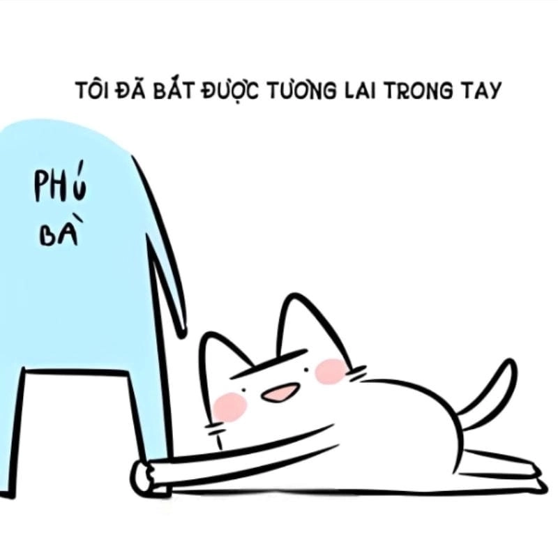 Ngắm nhìn vẻ đẹp meme ôm đáng yêu