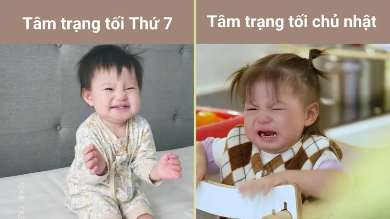 Ngắm nhìn meme pam dễ thương khiến tim tan chảy