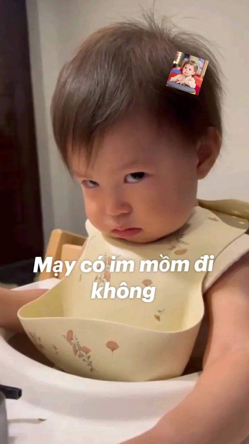 Bộ sưu tập meme pam hài hước khiến ai cũng cười