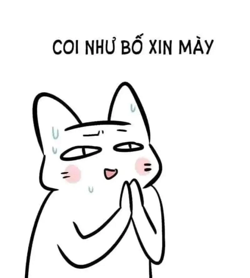 Lạc lối trong thế giới caption meme quỳ lạy