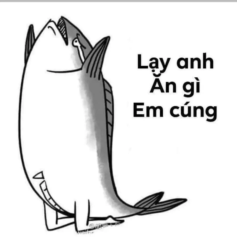 Cùng du ngoạn meme quỳ lạy mới nhất