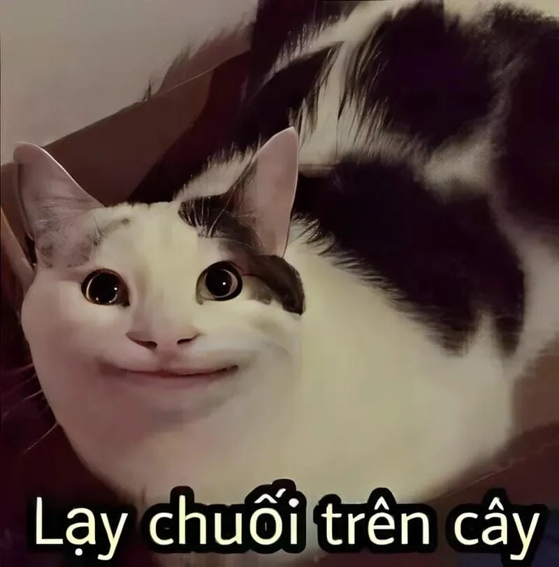 Gợi ý những bức meme quỳ lạy bá đạo
