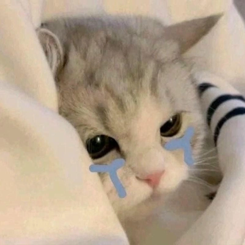 Cùng du ngoạn meme sad cảm xúc