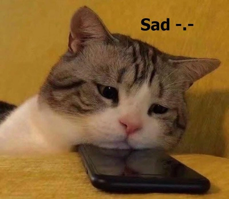 Lạc lối trong ảnh chế sad