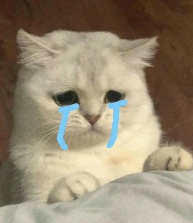 Sưu tầm những bức meme sad mới nhất