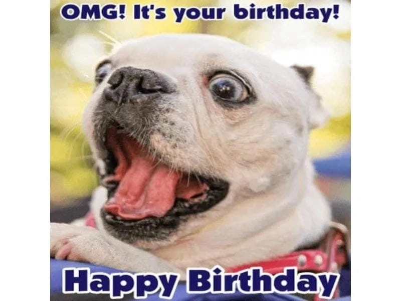 Lạc lối trong thế giới meme quà sinh nhật