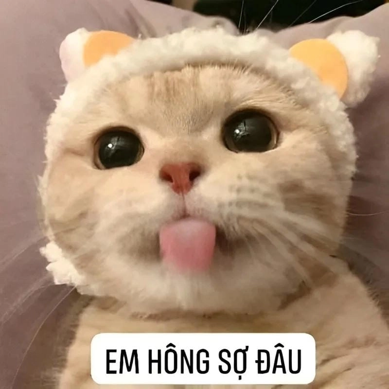 Gợi ý những bức meme sợ hãi kinh dị