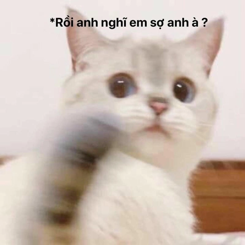 Cùng du ngoạn meme sợ hãi vui nhộn