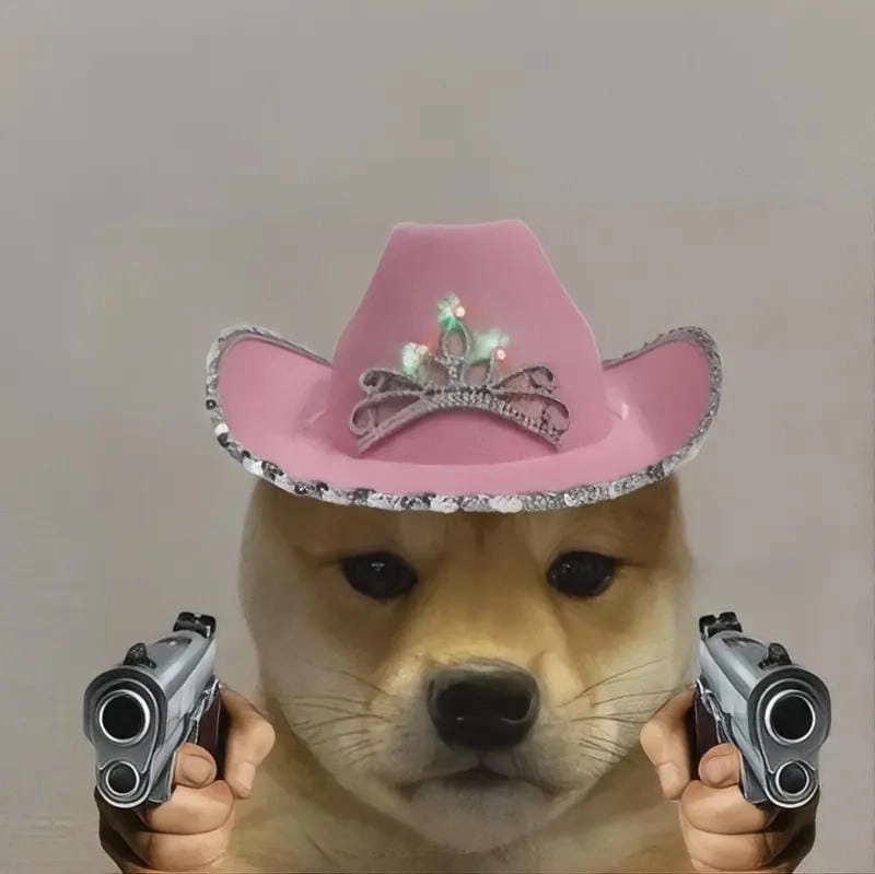 Cùng du ngoạn meme súng mới nhất