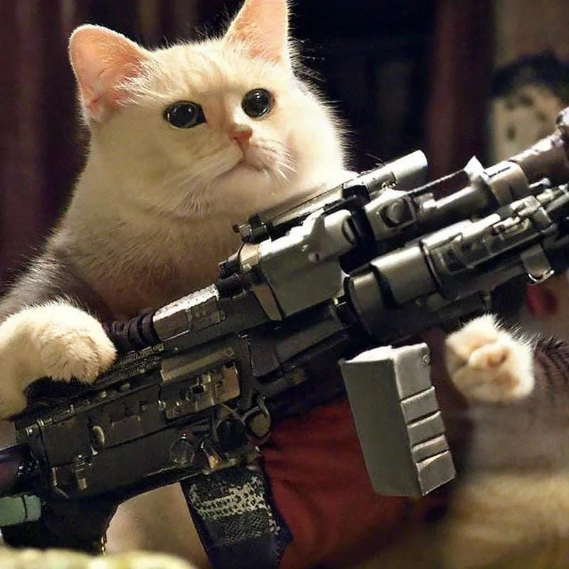 Sưu tầm những bức meme súng troll