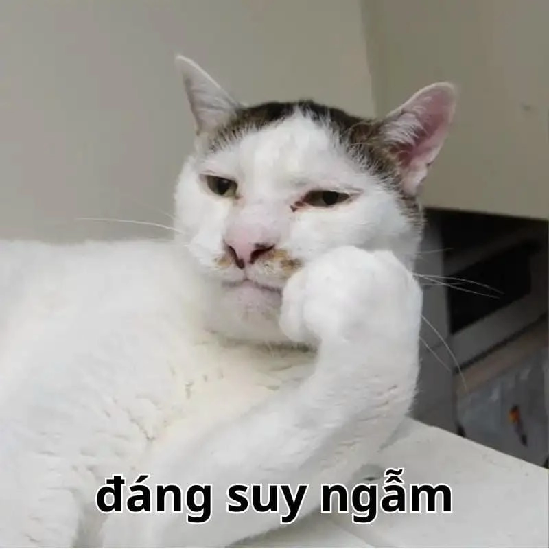 Ngắm nhìn vẻ đẹp meme suy nghĩ đáng yêu