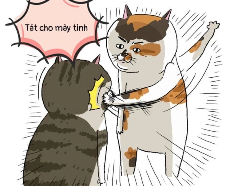 Cùng du ngoạn meme tát kinh điển