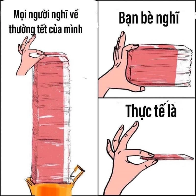 Khám phá những bức ảnh meme Tết hài hước