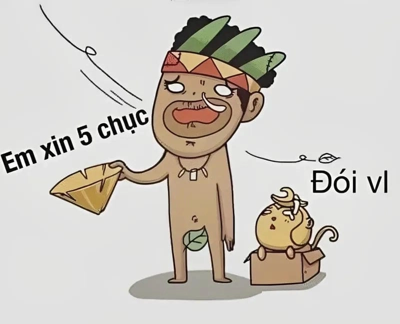 Khám phá những bức ảnh meme tiền hài hước