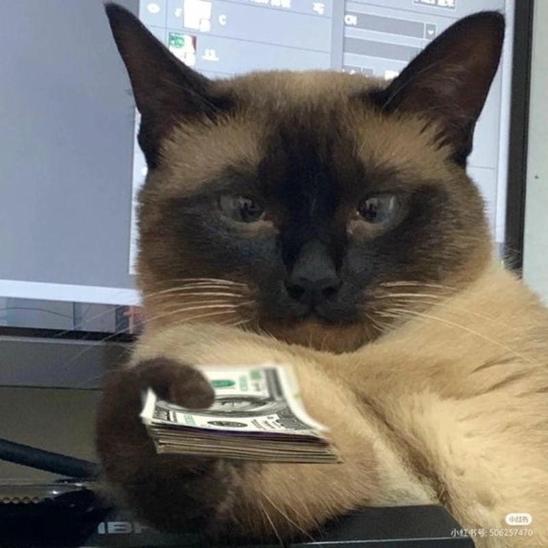 Sưu tầm những bức meme tiêu tiền