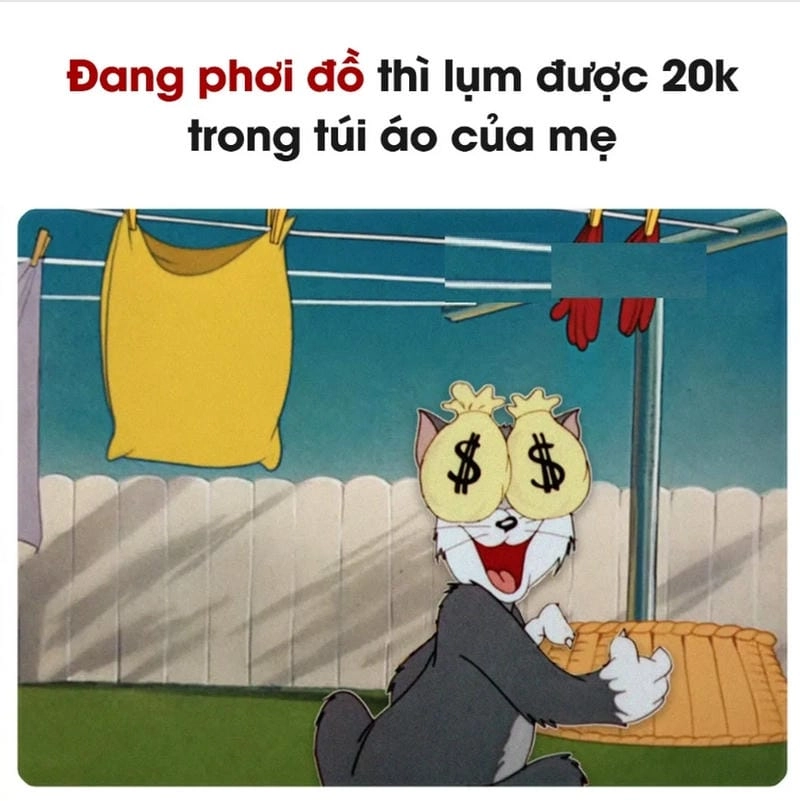 Tìm hiểu Lý do meme Tom được yêu thích đặc biệt