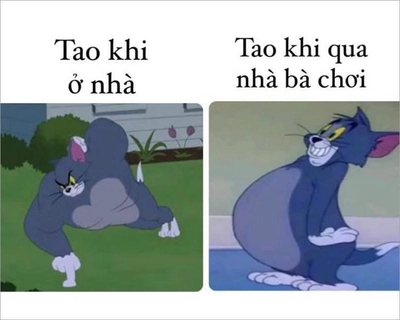 Săn lùng những khoảnh khắc meme Tom khóc