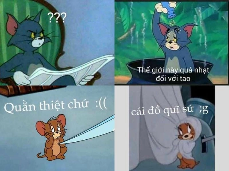 Ngắm nhìn vẻ đẹp meme Tom troll