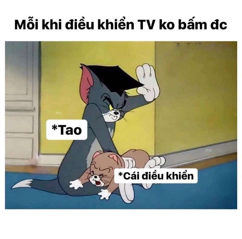 Cùng du ngoạn meme Tom tức giận