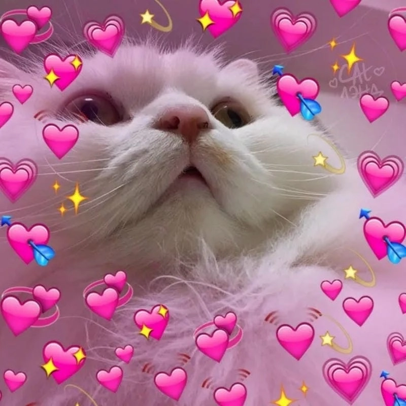 Tìm hiểu sức hút của meme trái tim