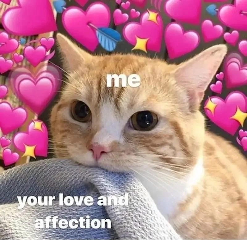 Khám phá những bức ảnh meme trái tim hài hước