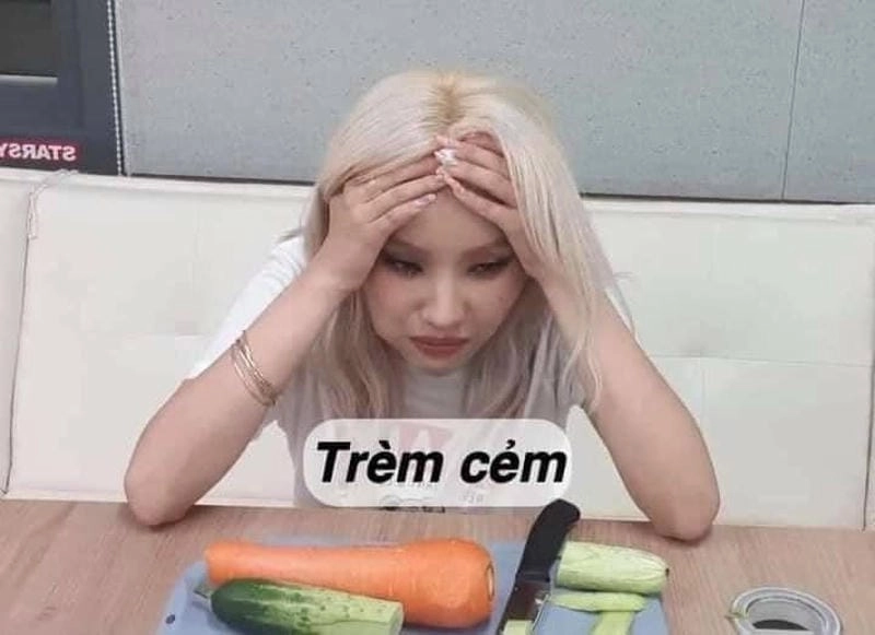 Sưu tầm những bức meme trầm cảm độc đáo