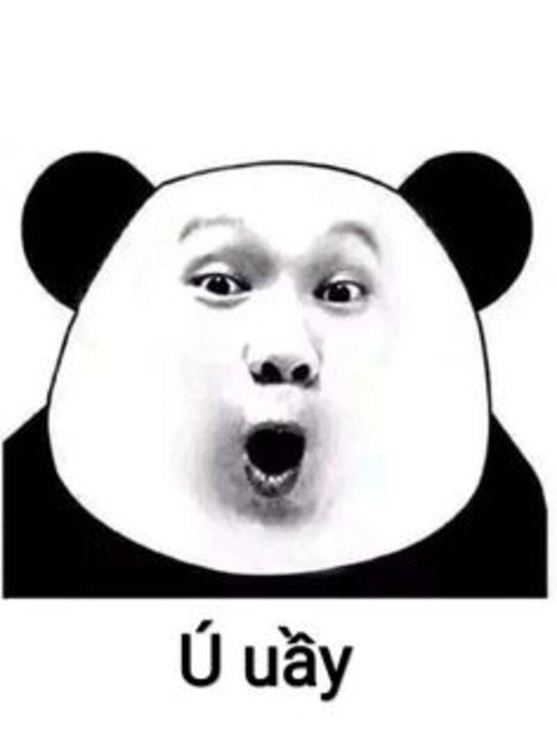 Khám phá những bức ảnh meme Trung Quốc hài hước