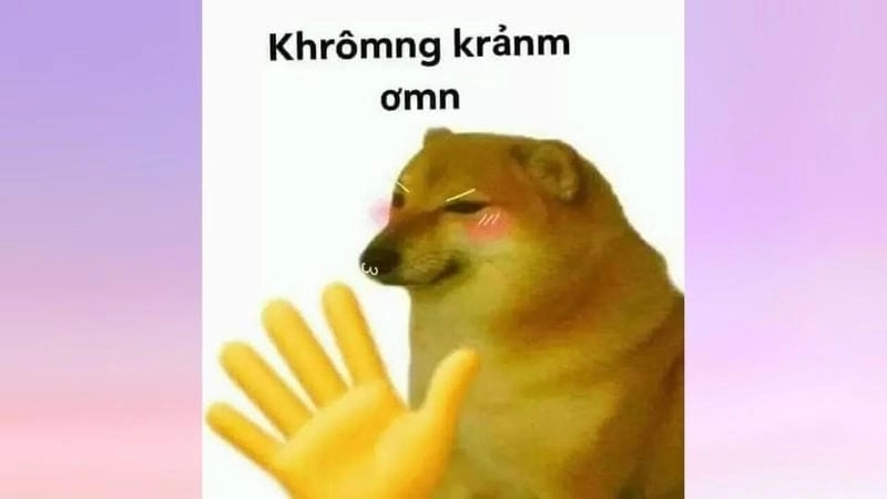 Gợi ý những bức meme từ chối dễ thương