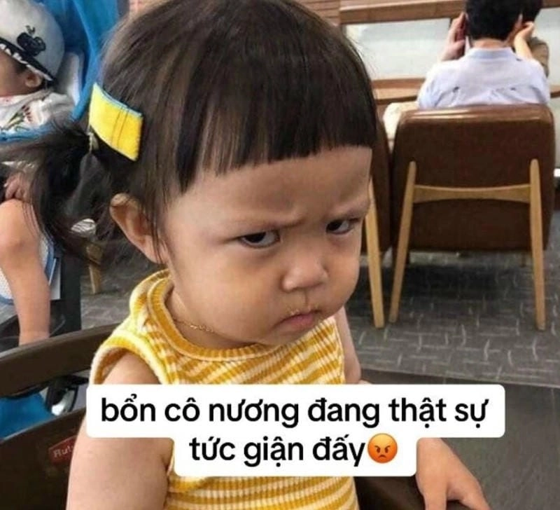 Tìm hiểu sức hút của meme tức giận