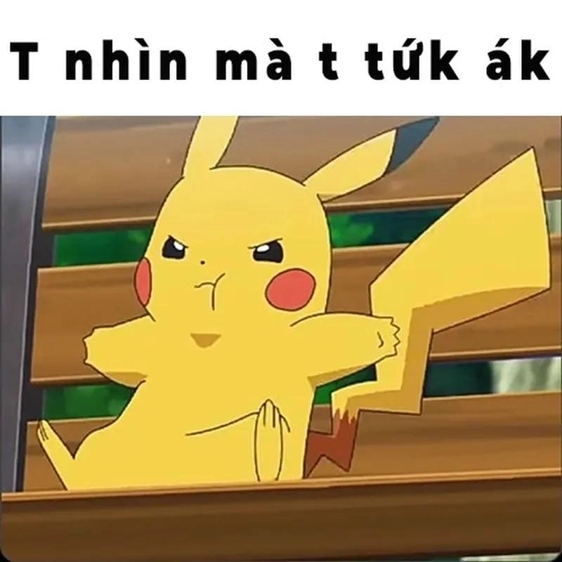 Ngắm nhìn vẻ đẹp meme tức giận đáng yêu