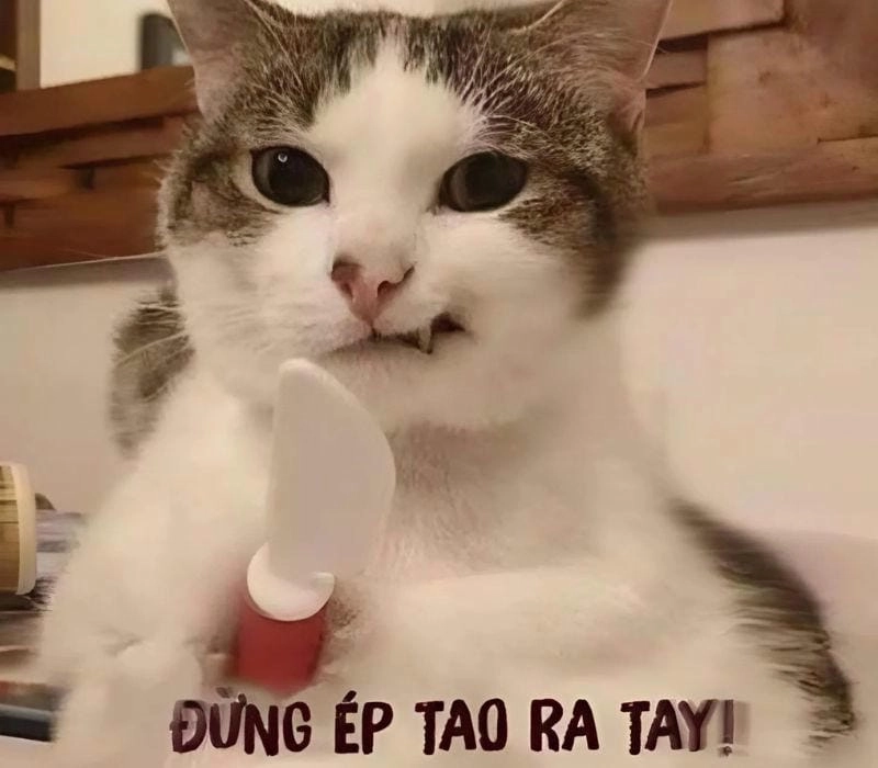 Sưu tầm những bức meme tức giận ảnh chế