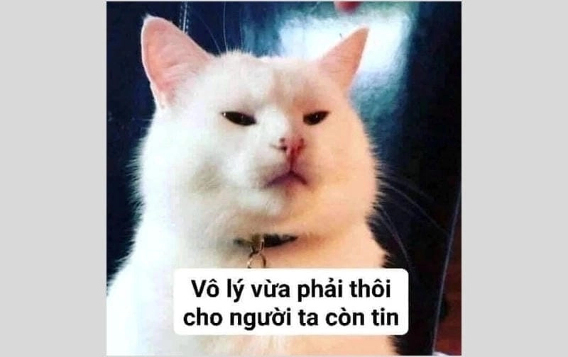 Lạc lối trong meme tức troll