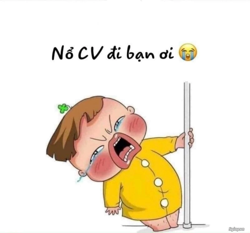 Khám phá những bức ảnh meme tuyển dụng hài hước