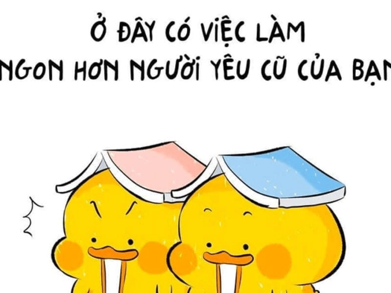 Cùng cười với những hình meme tuyển dụng chế