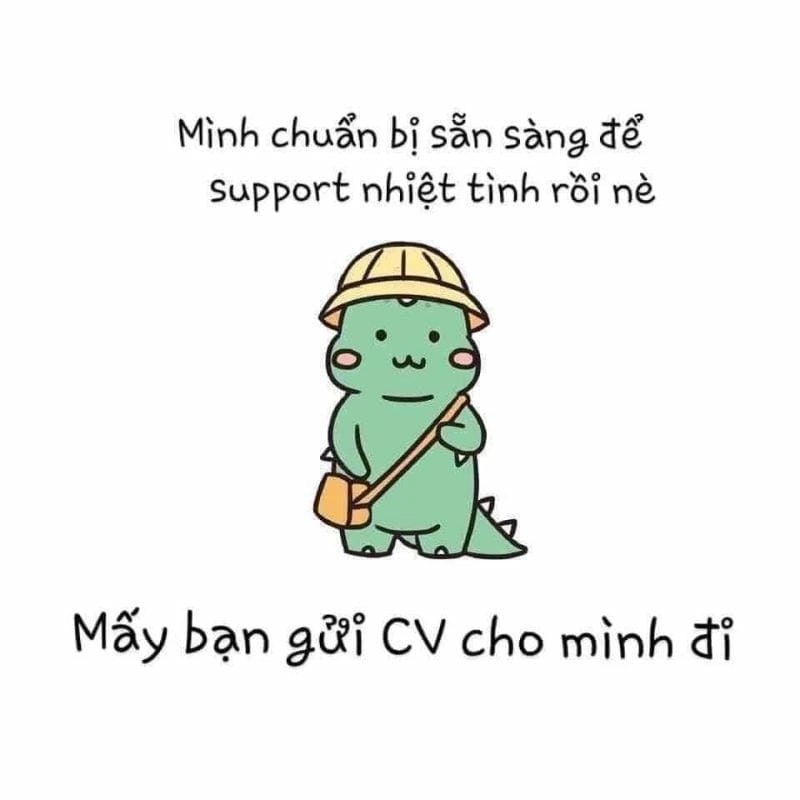 Lạc lối trong thế giới ảnh meme tuyển dụng