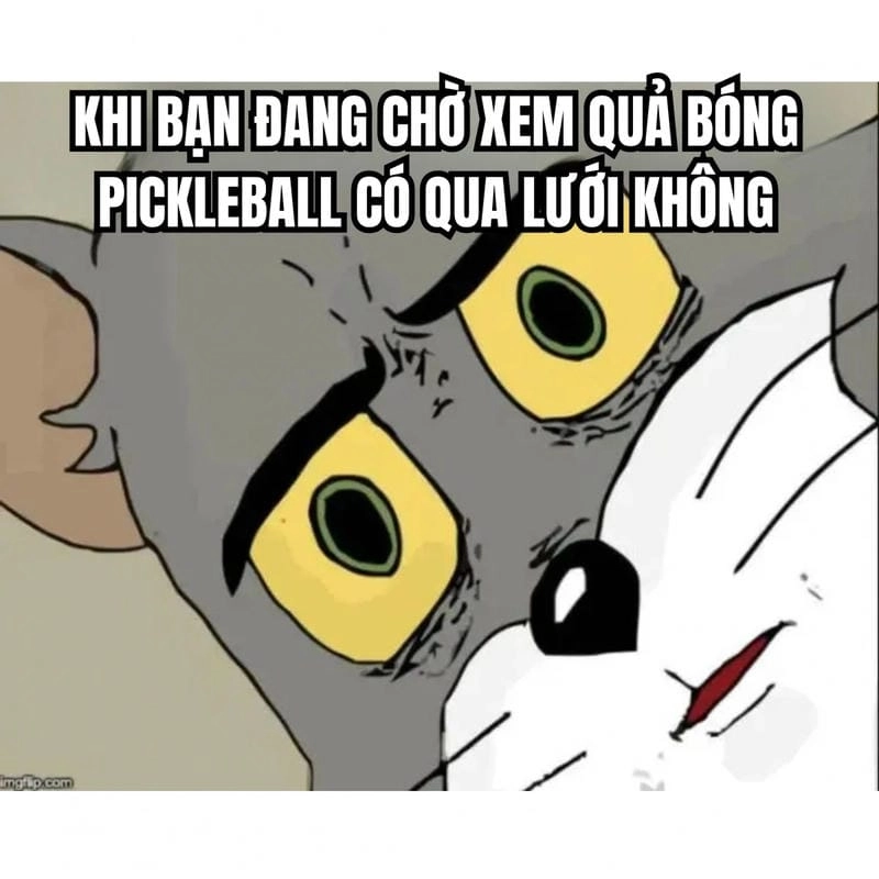 Lạc lối trong thế giới meme vui dễ thương