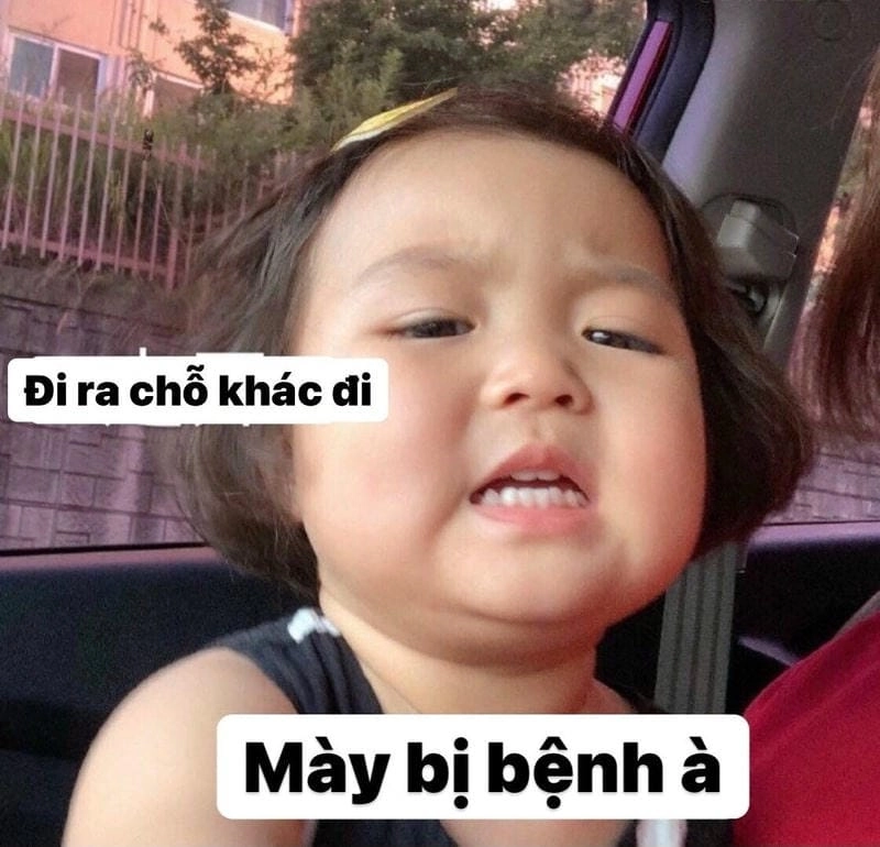 Tìm hiểu sức hút của meme Vui
