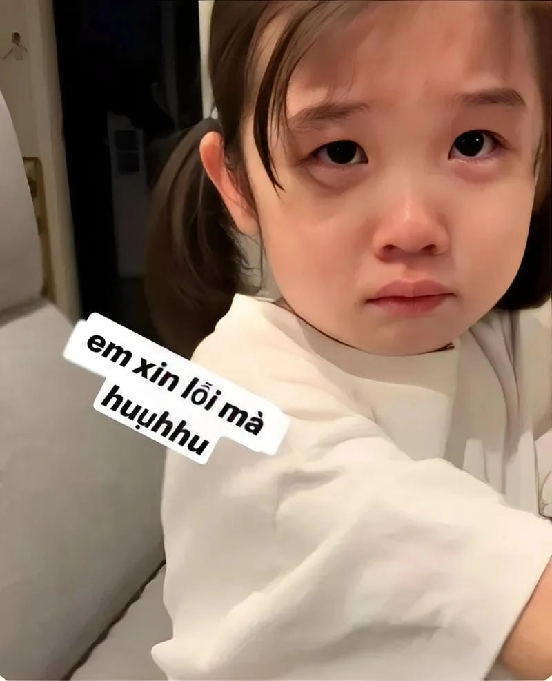 Tìm hiểu sức hút của meme xin lỗi