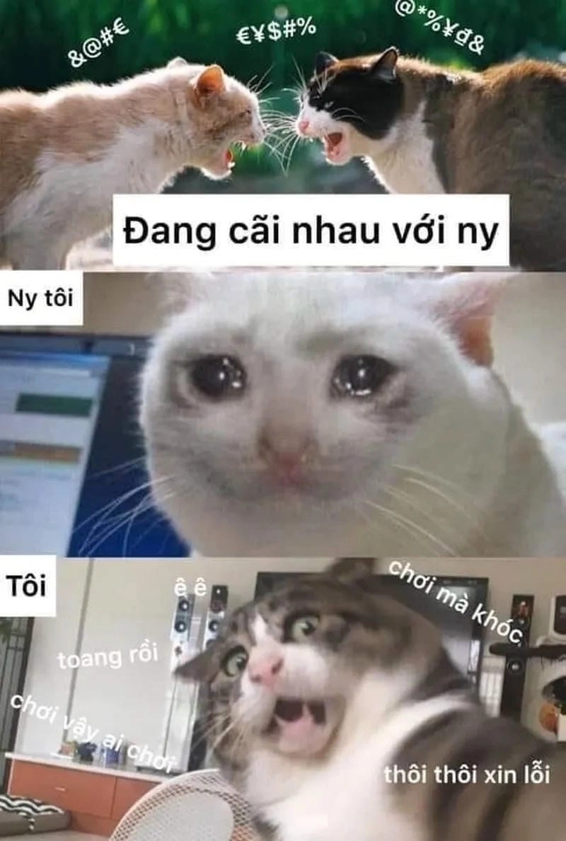 Sưu tầm những bức meme xin lỗi dễ thương