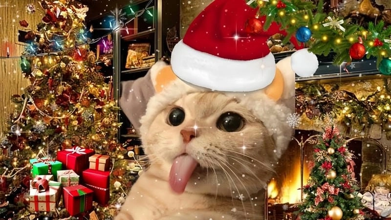 Tìm hiểu sức hút của mèo noel meme