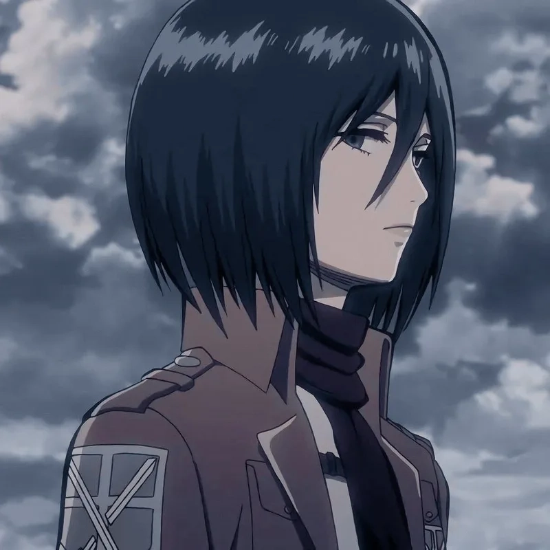 Fan hâm mộ không thể bỏ lỡ attack on titan mikasa