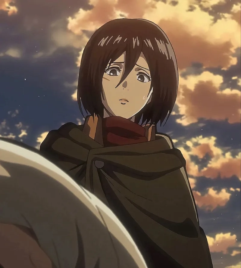 Chúc mừng ngày đặc biệt mikasa birthday