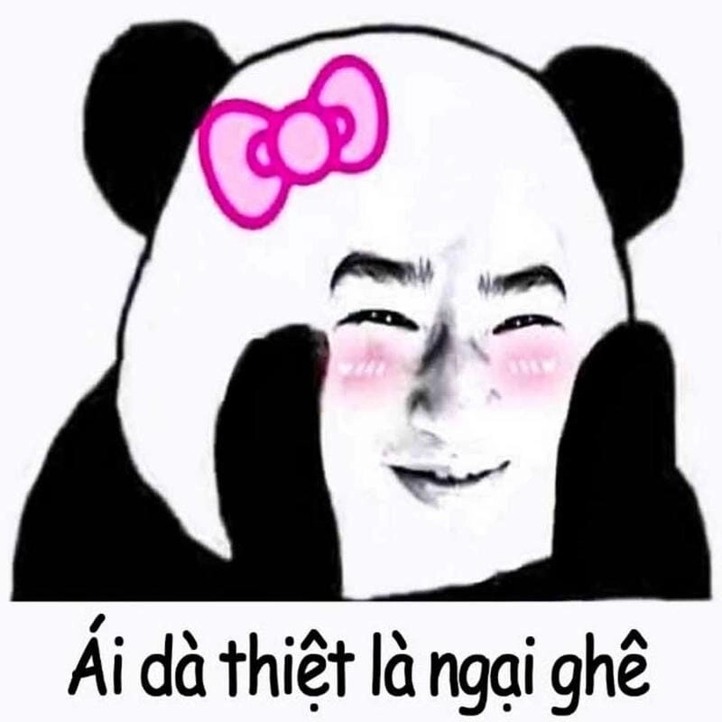 Lạc lối trong meme ngại ngầu