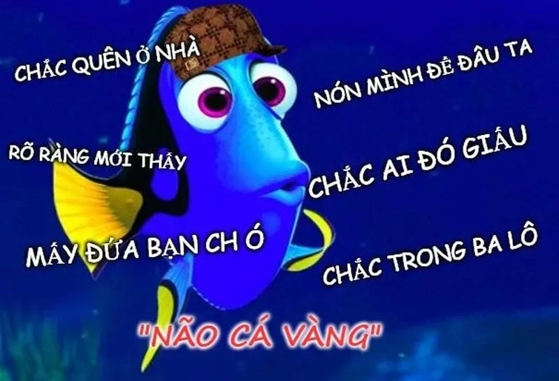 Săn lùng những khoảnh khắc ảnh ngu meme