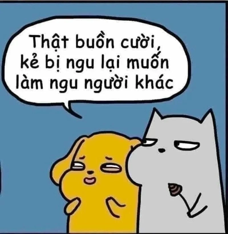 Lạc lối trong thế giới caption ngu meme