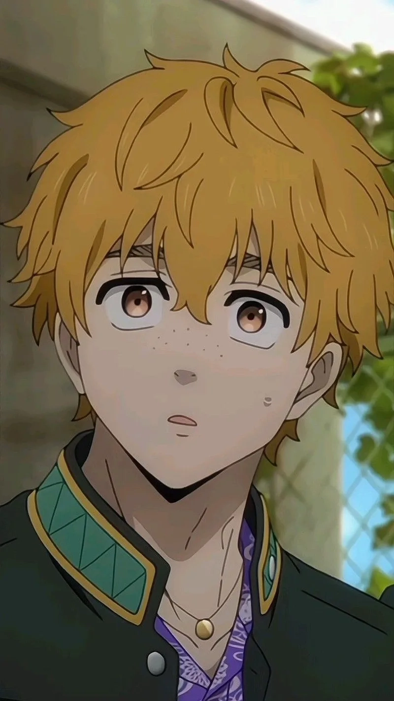 Chuyện tình hấp dẫn của nirei akihiko anime