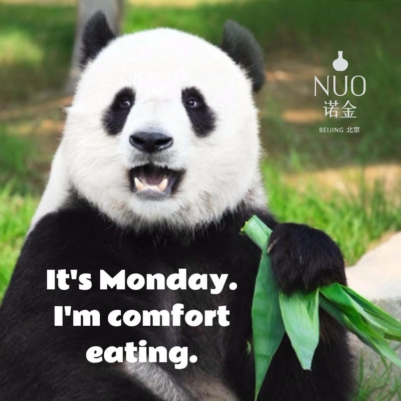 Tìm hiểu Lý do panda meme được lan truyền mạnh mẽ