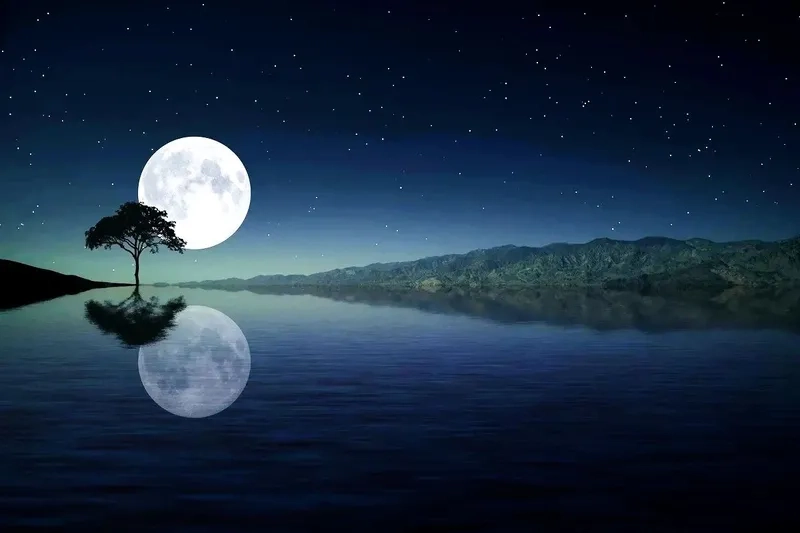 Thư giãn cùng phong cảnh đêm trăng yên bình tĩnh lặng